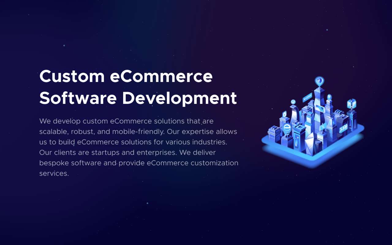 Custom eCommerce Software Development